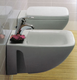 Ideal Standard Cantica Bathroom Toilets